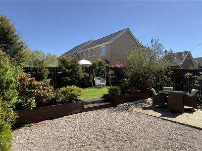 Picture 27